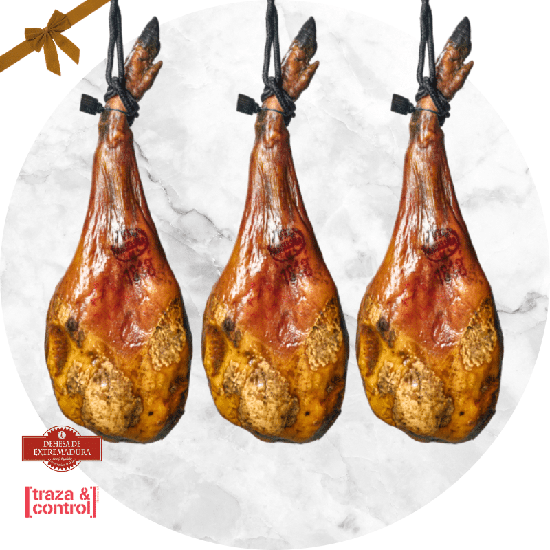 prosciutto di bellota