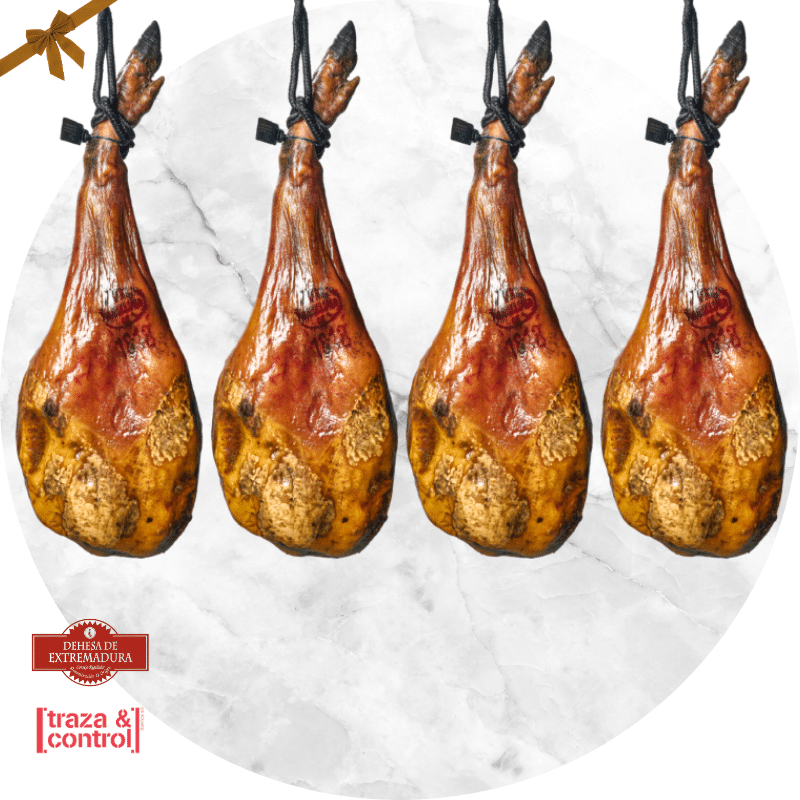 prosciutto di bellota